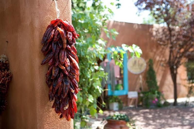 فندق شيراتون ألباكركي إيربورت المظهر الخارجي الصورة